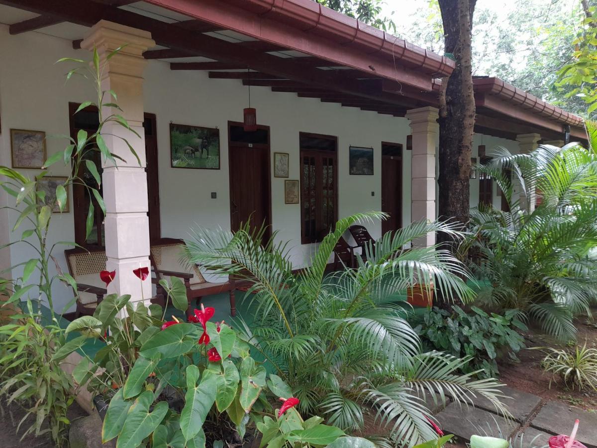 Sigiri Jungle Villa Sigiriya Bagian luar foto