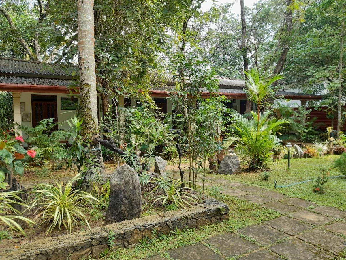 Sigiri Jungle Villa Sigiriya Bagian luar foto