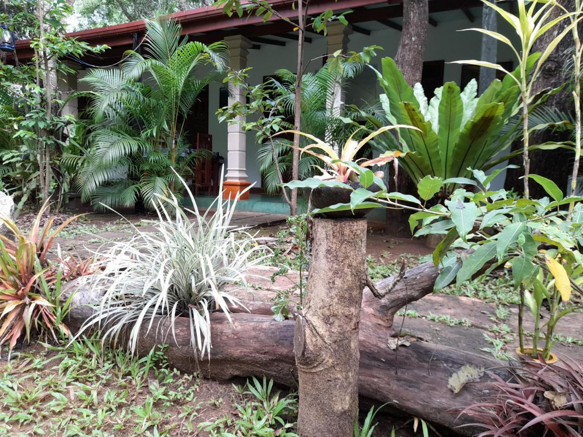 Sigiri Jungle Villa Sigiriya Bagian luar foto